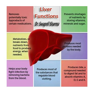 Liver Function
