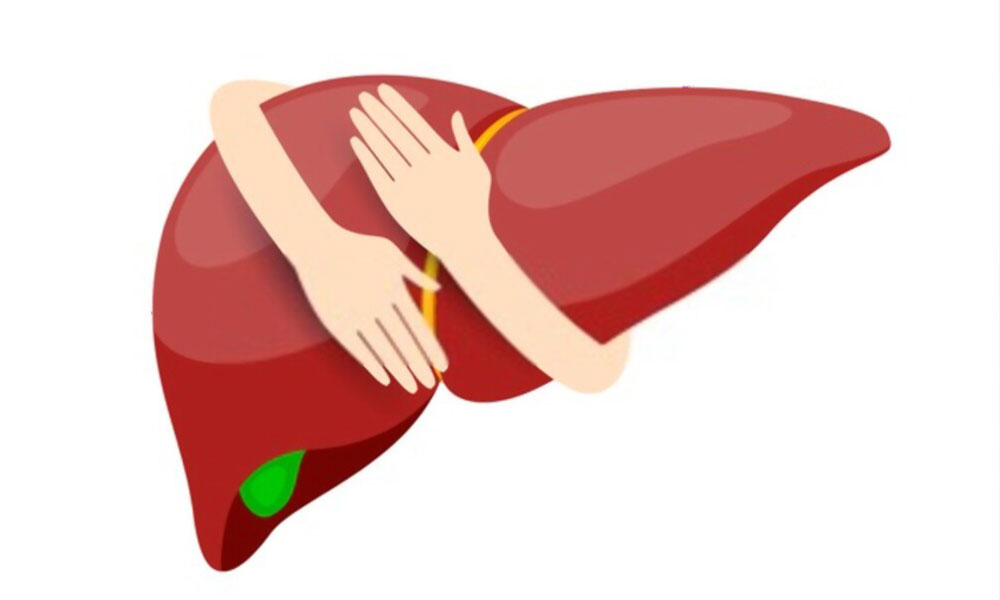 Liver Treatment in Surat